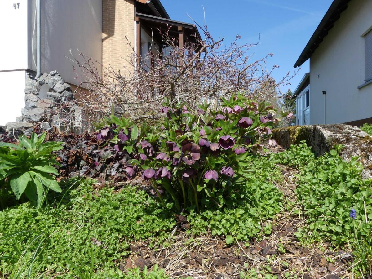 Ferienwohnung Schanbacher 奥伯岑特 外观 照片